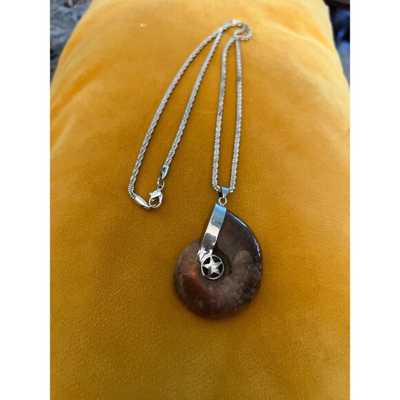 Ammonite Fossil Necklace Silver trim and chain Pendant Petrified Mollusk - Picture 4 of 5